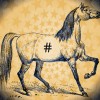 5 Ways Brands Can Harness Hashtags Today hashhorse
